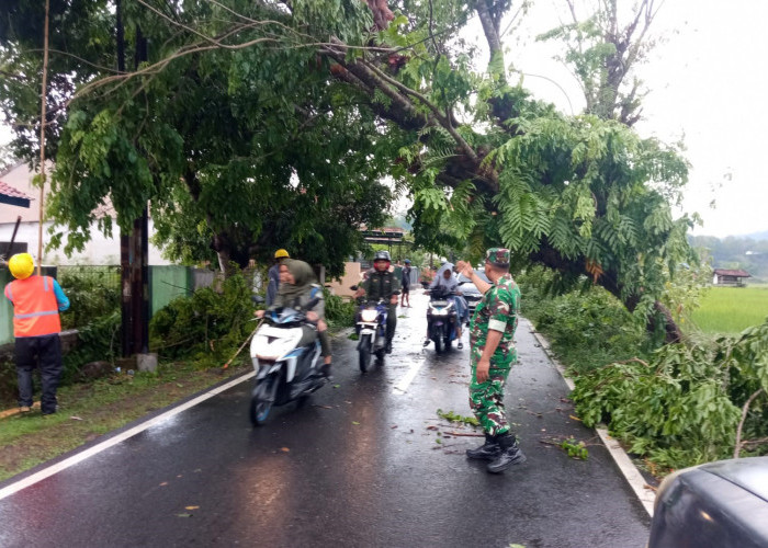 Dua Kecamatan di Kuningan Terkena Angin Kencang dan Musibah Longsor