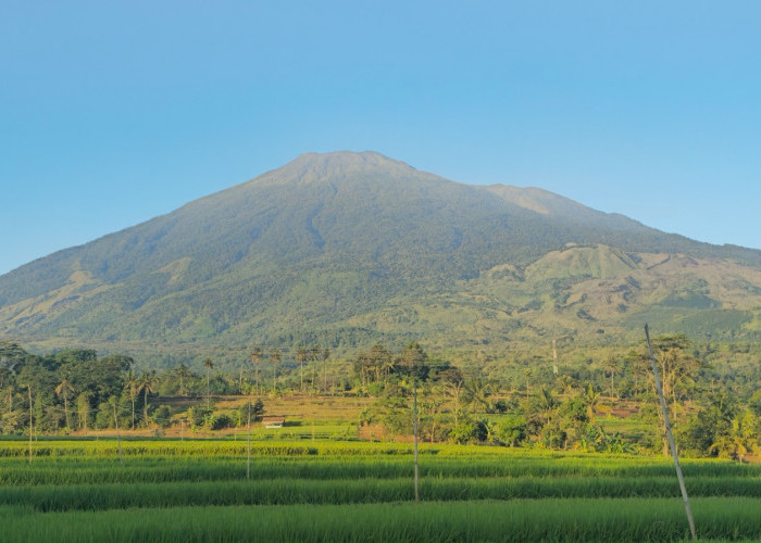 Sawah Hijau, Gunung Ciremai dan Sunset Memikat, Ini Pesona Desa Cidahu Pasawahan