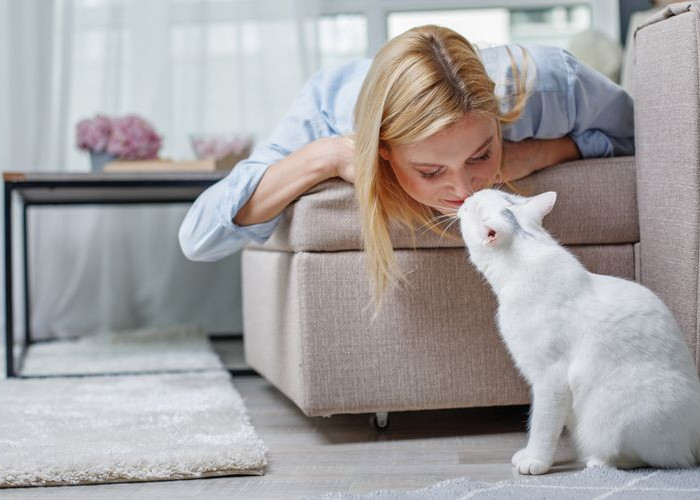Inilah 6 Perilaku Anabul Jika Telah Berhasilkan Mendapatkan Hatinya, Pertanda Kucing Percaya Padamu!