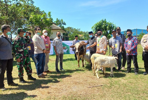 89 Hewan Kurban Untuk Masyarakat dari Cirebon Power