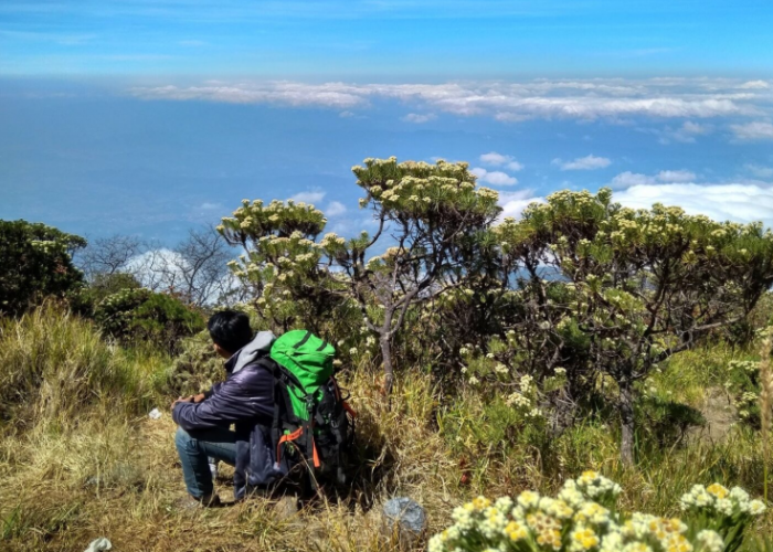 Termasuk Biaya Tiket Masuk Rp15.000, Segini Rincian Biaya Mendaki Gunung Ciremai Via Palutungan Kuningan