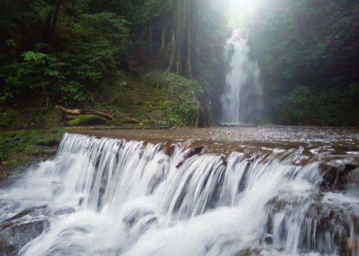 Suasana Tenang dan Nyaman di Wisata Curug Putri Palutungan, Buktikan Sendiri!