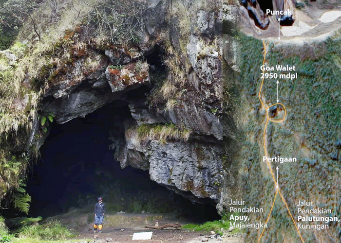 5 Fakta untuk Mengenal Goa Walet di Gunung Ciremai, Dekat Lokasi Pendaki Bandung Meninggal Dunia