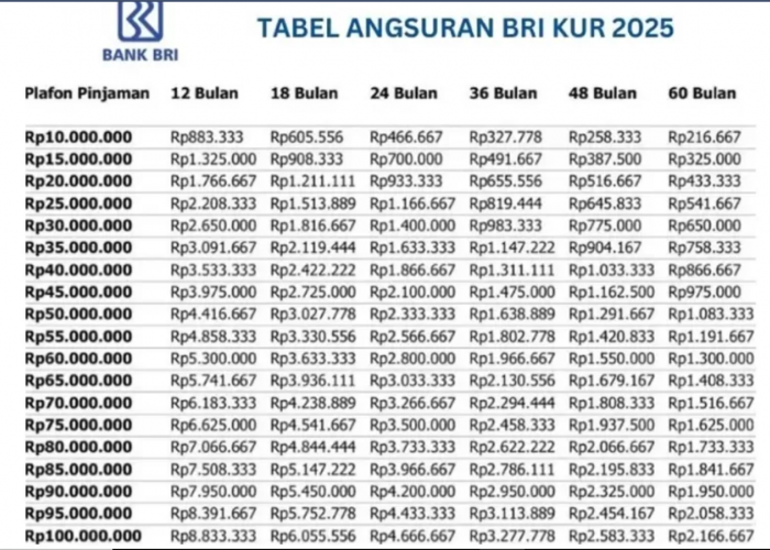 Cicilan Super Ringan KUR BRI Pinjaman 100 Juta, Cek Tabel Angsuran Khusus UMKM Terbaru 2025 dan Syaratnya