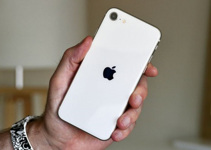 Setara dengan iPhone 13! Ini Dia Spesifikasi Lengkap iPhone SE Generasi 3 dan Update Harganya di Tahun 2024