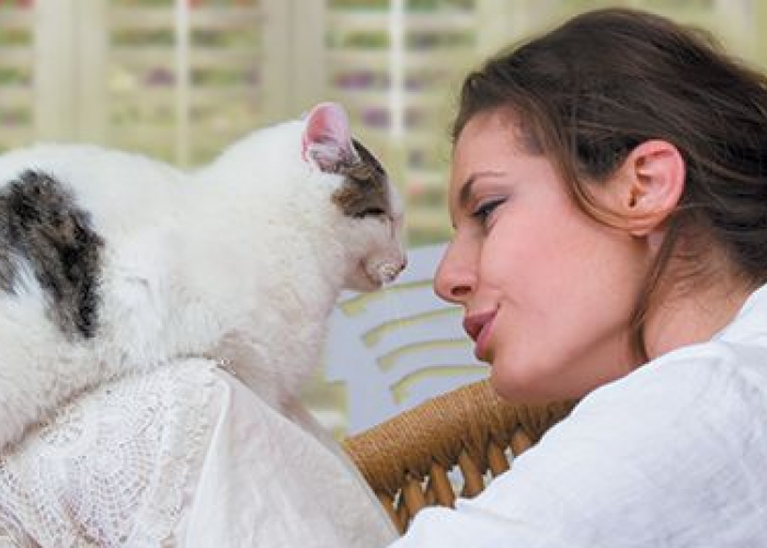 Wajib Bisa! Ini 4 Cara Berkomunikasi dengan Kucing Peliharaan, yang Mudah Dipelajari!