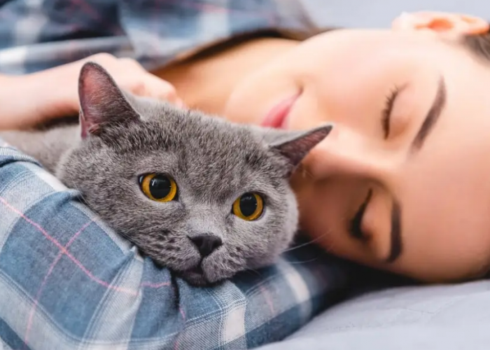 Ini 4 Manfaat Tidur Bersama Kucing Masih Jarang Diketahui dan Sering Disepelekan!
