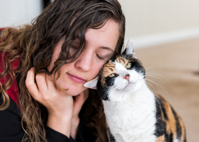 4 Cara Berbicara dengan Kucing, Ternyata Bisa Menggunakan Gerakan Kepala