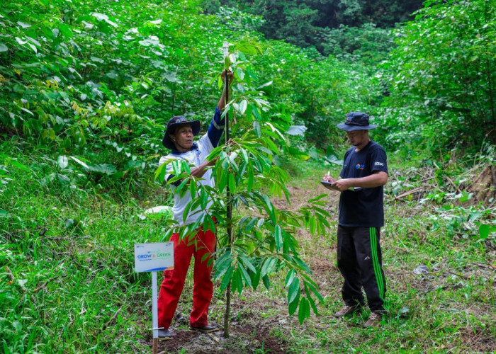 Peringati Hari Lingkungan Hidup Sedunia, BRI Pertegas Komitmen dalam Menjaga Ekosistem Lingkungan