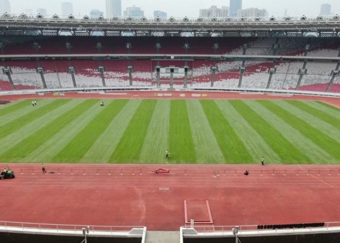 Penampakan Rumput Stadion GBK Jelang Kualifikasi Piala Dunia 2026 Zona Asia, Lutut Thom Haye Aman?