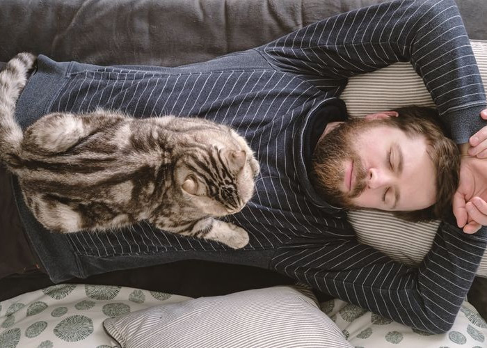 5 Alasan Kucing Tidur dengan Pemiliknya, Apakah Peliharaan Anda Memiliki Sikap Ini? Nomor 1 Bikin Sayang