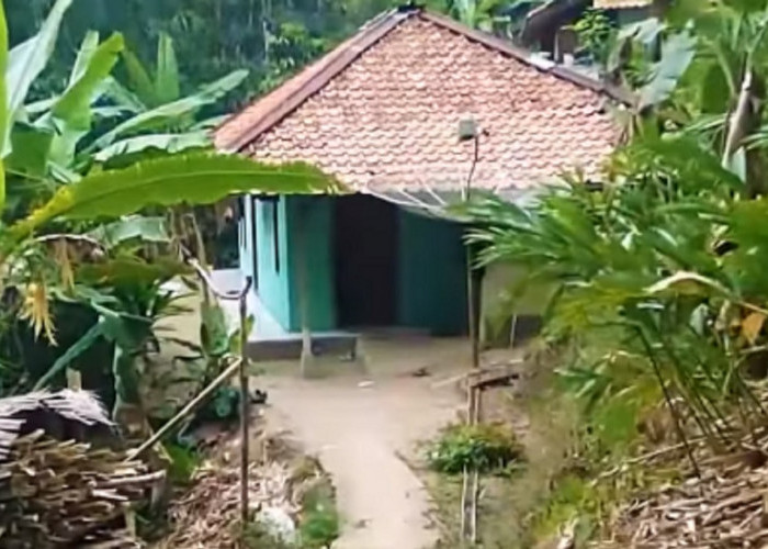 Berada di Hutan Belantara, Kampung Terpencil di Kuningan Jawa Barat Ini Hanya Ada 3 Rumah