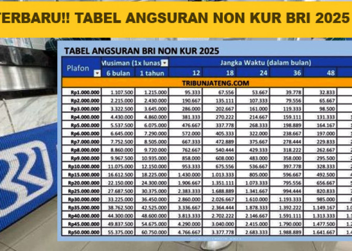 Tabel Pinjaman Non KUR BRI Bulan September 2025 Terbaru, Cicilan Terendah 146 Ribuan