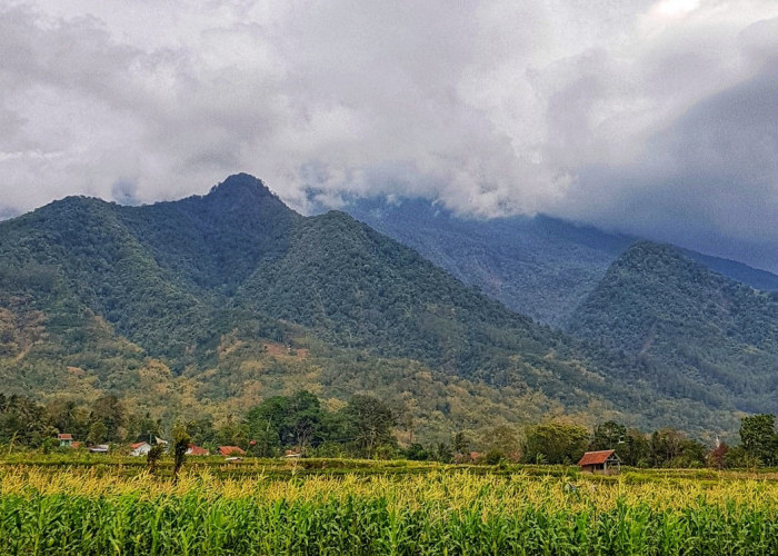 Melihat Penampakan 'Kakek' Gunung Ciremai, Gunung Purba di Jalaksana, Ketinggian 1.400 MDPL