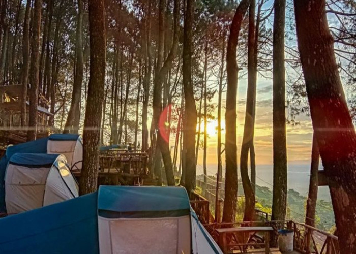 5 Rekomendasi Tempat Camping di Palutungan Kuningan, View-nya Cakep Banget! Bisa Liat Sunrise yang Cantik