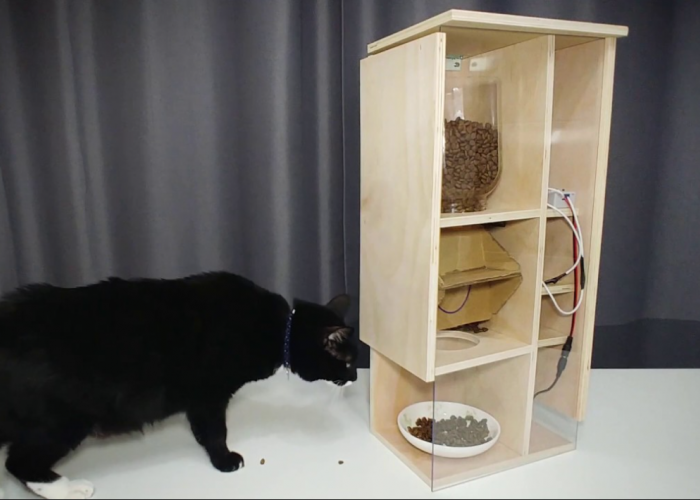 Ini Cara Memberi Makan Kucing di Rumah saat Pergi Mudik, Bukan Dititip ke Tetangga atau Pet Hotel!