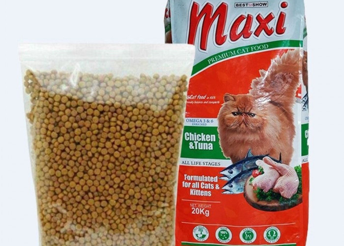 Inilah 3 Merk Makanan Kucing Menjadi Buruan Pecinta Kucing Karena Memiliki Harga Murah dan Populer