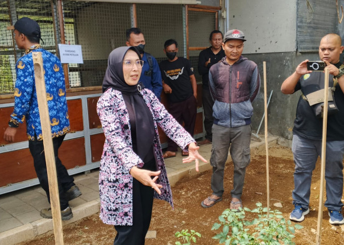 Arunika Kuningan Olah Sampah Jadi Maggot, Dorong Pertanian Terintegras