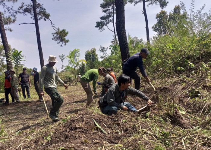 Cegah Kebakaran Hutan Gunung Ciremai, Bikin Sekat Bakar di Blok Lambosir - Karangdinding