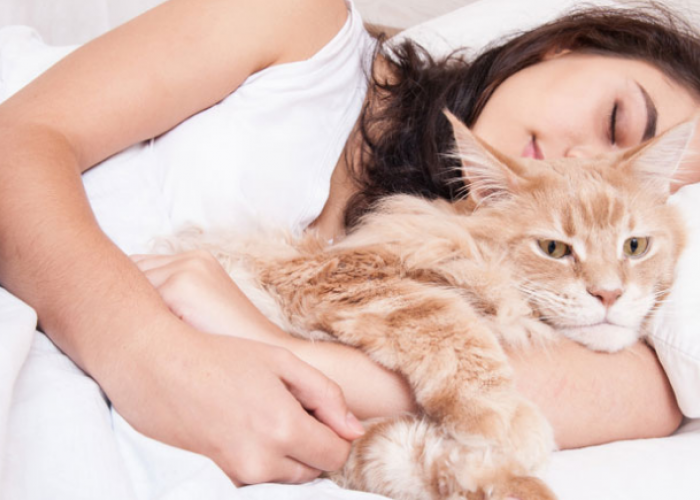 Ternyata Ini 4 Manfaat Tersembunyi Tidur dengan Kucing Peliharaan, yang Masih Jarang Diketahui!