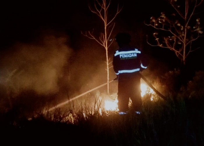 Kebakaran Lahan di Sindangjawa Hanguskan Ratusan Pohon Produktif, Kapolres-Wakapolres Kuningan Turun Tangan