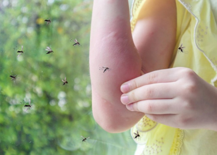 Oh ini, 4 Faktor yang Mengundang Nyamuk Untuk Mengganggu Kita! No. 4 Jarang Disadari