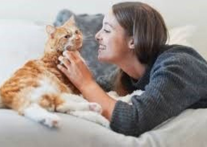 8 Perilaku Kucing Sebagai Tanda Sayang Pada Kita, Bikin Baper! Cat Lovers Sudah Tahu? 