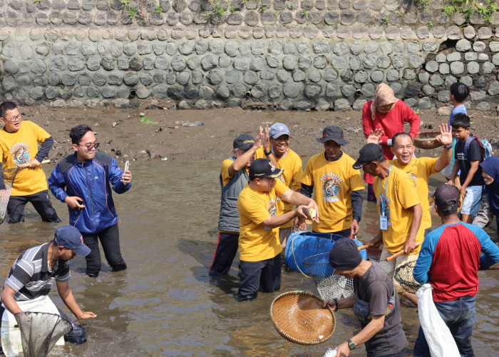 Tradisi Ngobeng Lauk Situ Cimalongpong, Ikan Bobot 8 Kg Jadi Rebutan