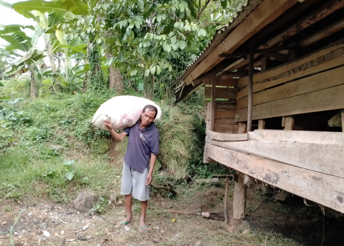 Bertemu KDM di Jalan Desa Kaduela, Sakim Dapat Rezeki Tak Terduga Rp4 Juta