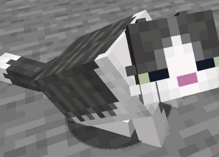 Kini Kamu Bisa Menjinakkan dan Memelihara Seekor Kucing di Minecraft ! Berikut Tipsnya
