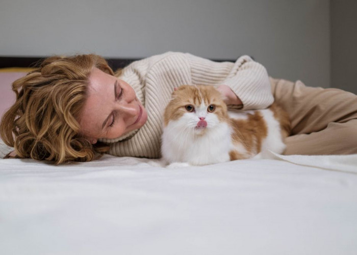 Ternyata Kucing Sadar Akan Perhatian Manusia, Simak 5 Hal yang Disukai Kucing dari Manusia 