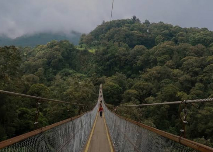 10 Rekomendasi Tempat Wisata di Ciwidey dan Pangalengan, Wajib Masuk Daftar Liburan