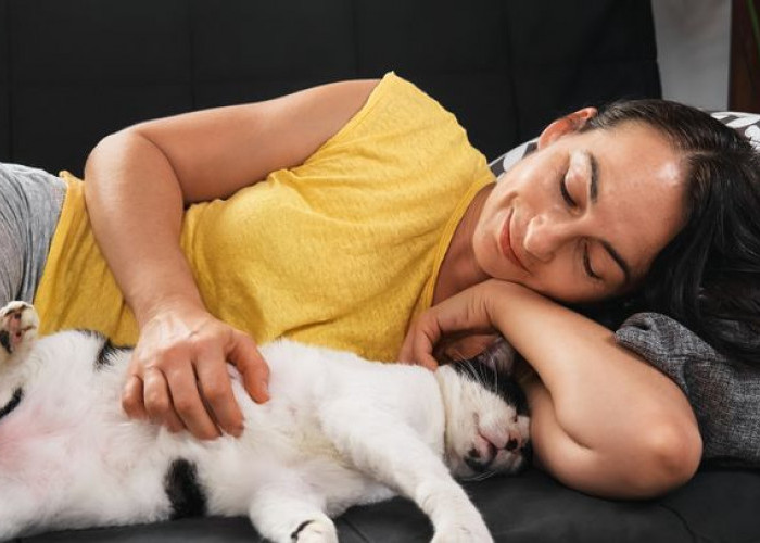 5 Tanda Kucing Suka Tidur Dekat Kita, Ternyata Pertanda Ia Menyukaimu Lho! Apa Kamu Menyadari?