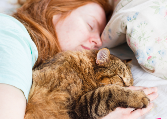 Apakah Kucing Bahagia Tidur dengan Kita? Simak 4 Alasan Kenapa Kucing Ingin Tidur Bareng Pemiliknya