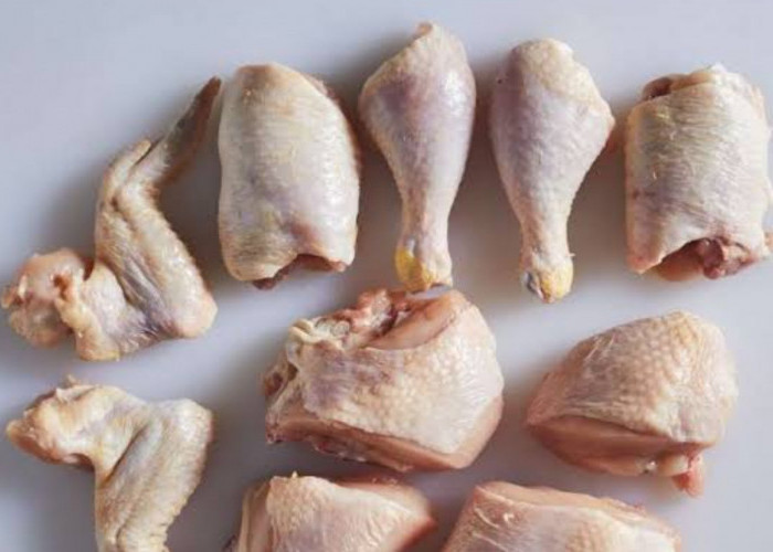 Mudah dan Murah, Ini Cara Membuat Makanan Kucing dari Daging Ayam, Dimasak Dulu Loh