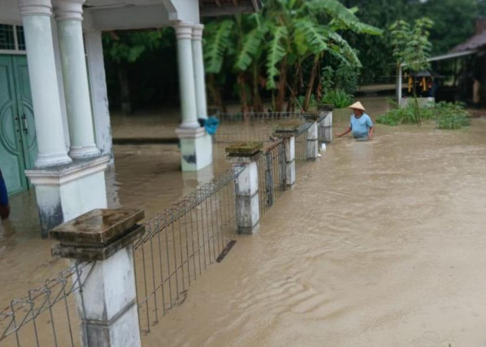 Banjir di Desa Cimahi, 153 Rumah Terendam, Ratusan Ternak Hanyut