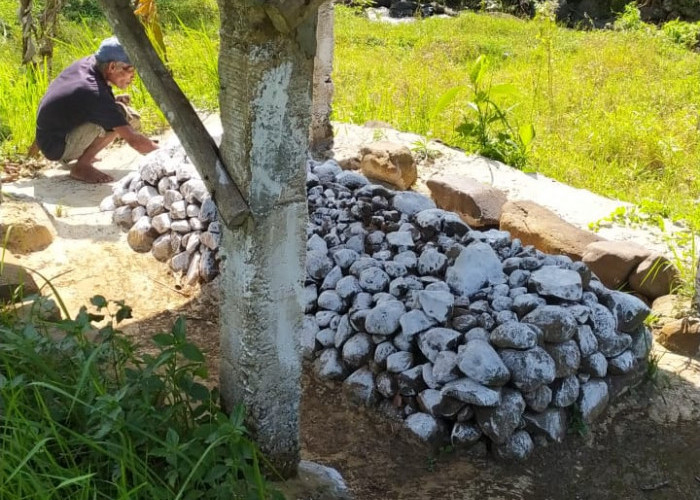 Misteri Makam Buyut Bakom di Desa Singkup Japara, Kisah Tragedi Kelam Eksekusi Santri Asal Jawa Tengah 
