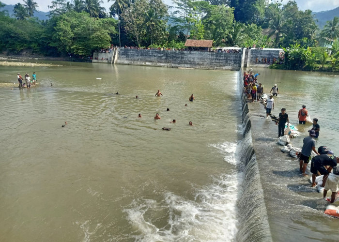 Tragis! Bocah 8 Tahun Asal Ciamis Tenggelam di Sungai Cijolang Kuningan