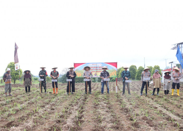 Dari Gunungkeling, Polres Kuningan Tanam Jagung Serentak