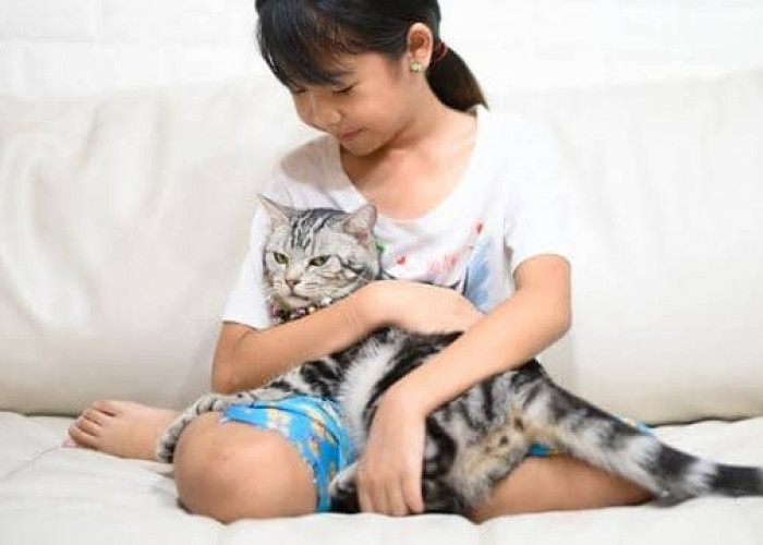 Unik dan Gemas! Inilah 7 Perilaku Kucing yang Menandakan Ia Nyaman Berada Di Dekatmu, yang Jarang Disadari!