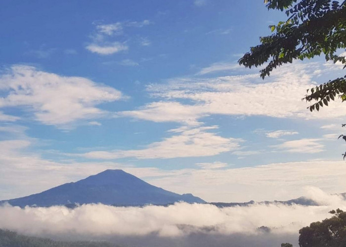 Informasi Prakiraan Cuaca Kabupaten Kuningan Hari Ini, Sabtu 25 Mei 2024