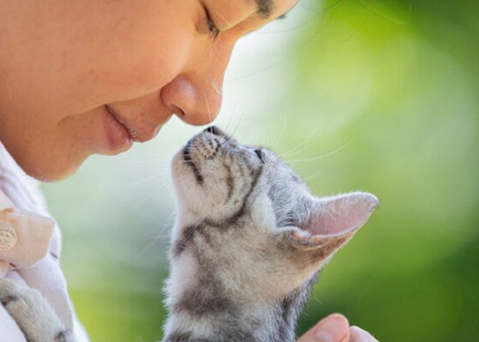 Yuk Kenali 6 Cara Terima Kasih Kucing Kepada Pemiliknya, Apakah Kamu Menyadarinya?