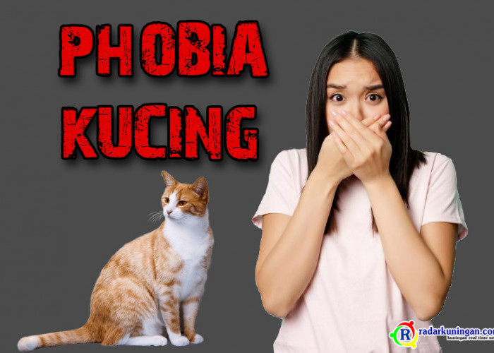 Mengenal Ailurophobia, Orang yang Takut Kucing, Kenali Gejala Ini, Kamu Termasuk?