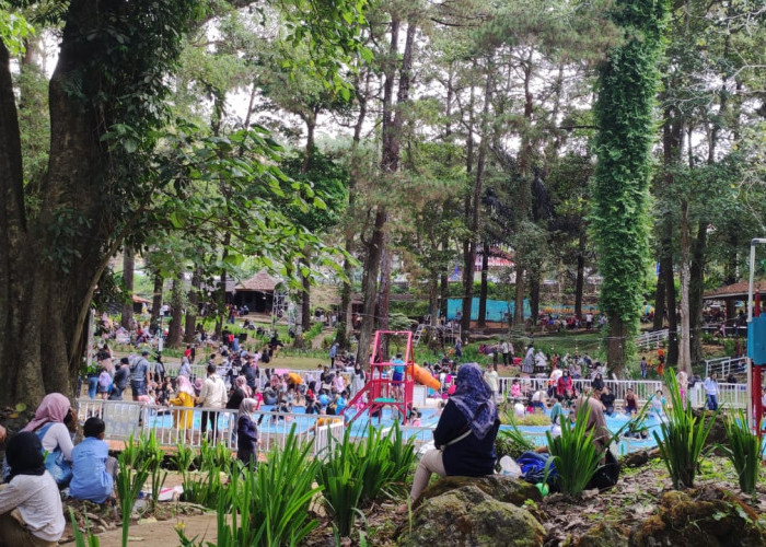Libur Nataru, Wisata Woodland Cilimus Kuningan Destinasi Favorit Warga