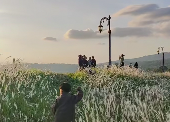 Berjarak 1 Jam dan 12 Menit dari Kota Cirebon, Ini Dia Tempat Wisata Kuningan Rasa Korea, Cek Biaya Masuknya