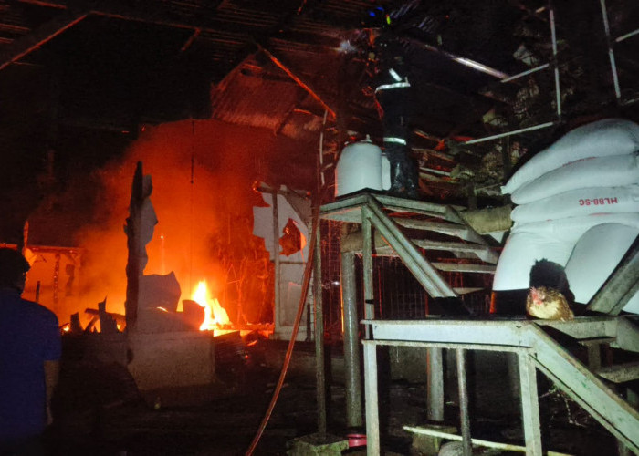Kebakaran Gudang dan Mes Karyawan Peternakan Ayam di Kuningan, Diduga Akibat Korsleting Listrik