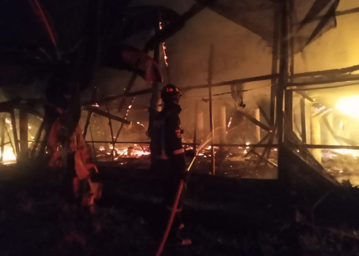 Api Hanguskan Kandang Ayam di Cigandamekar, Kerugian Nyaris Rp500 Juta