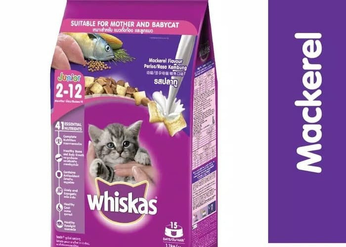 Berikut 5 Merk Makanan Kucing Murah Dan Tinggi Nutrisi! Cocok Untuk Anabul Kesayangan