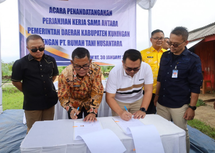 Optimalisasi Aset Lahan Daerah, Strategi BPKAD Kuningan Demi Ketahanan Pangan dan PAD