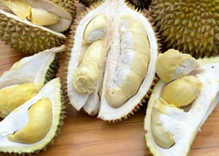 Supaya Tidak Bingung, Perhatikan Ini Sebelum Pergi ke Festival Durian di Desa Wisata Cibuntu Kuningan 